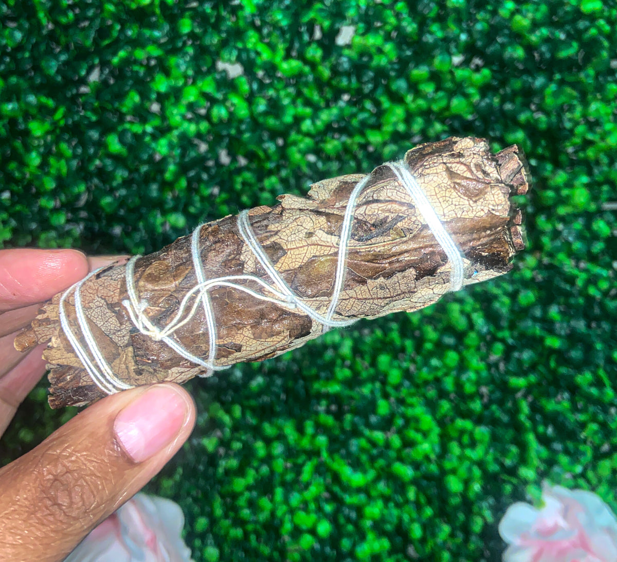 Yerba Santa