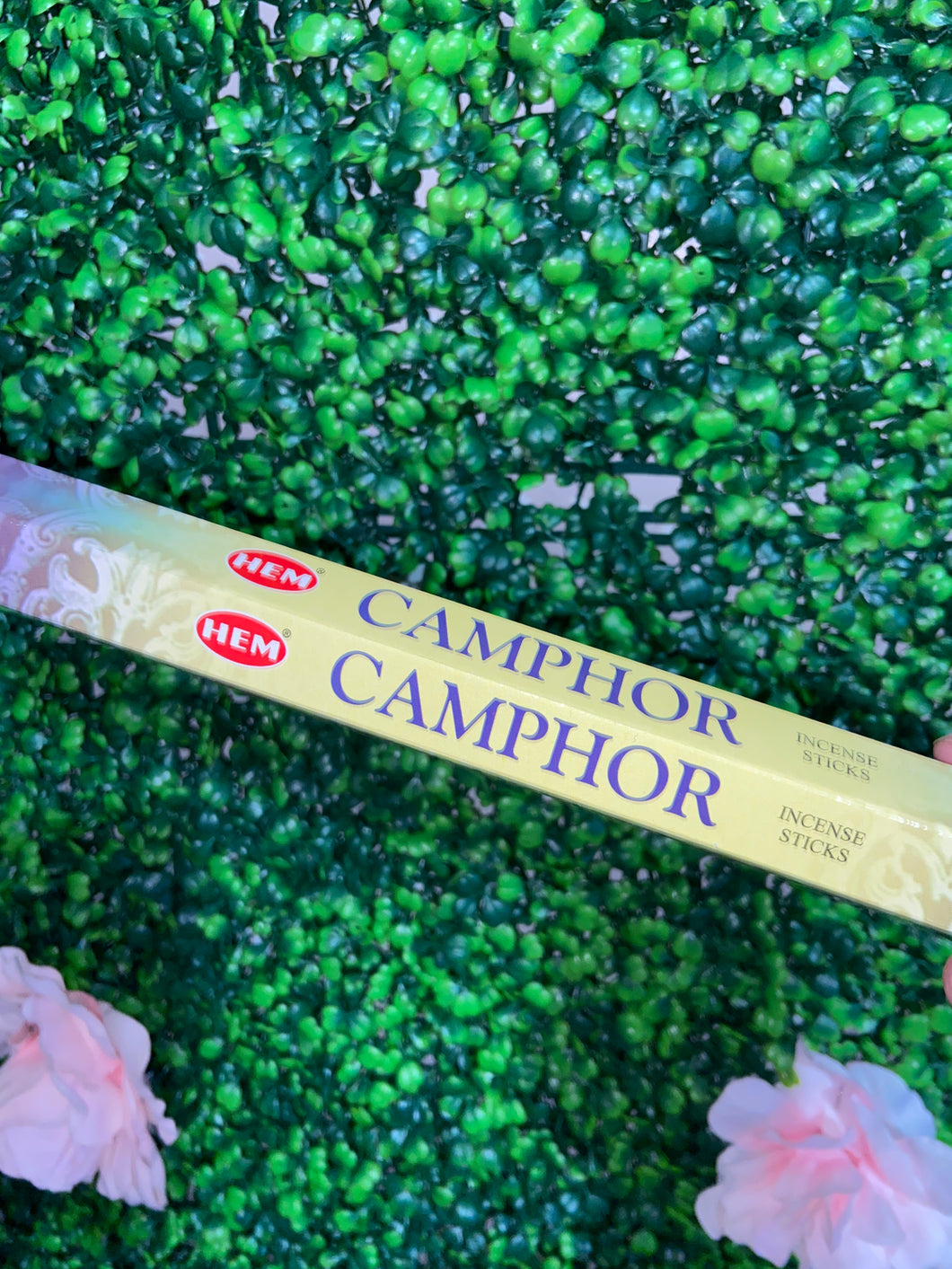 Camphor
