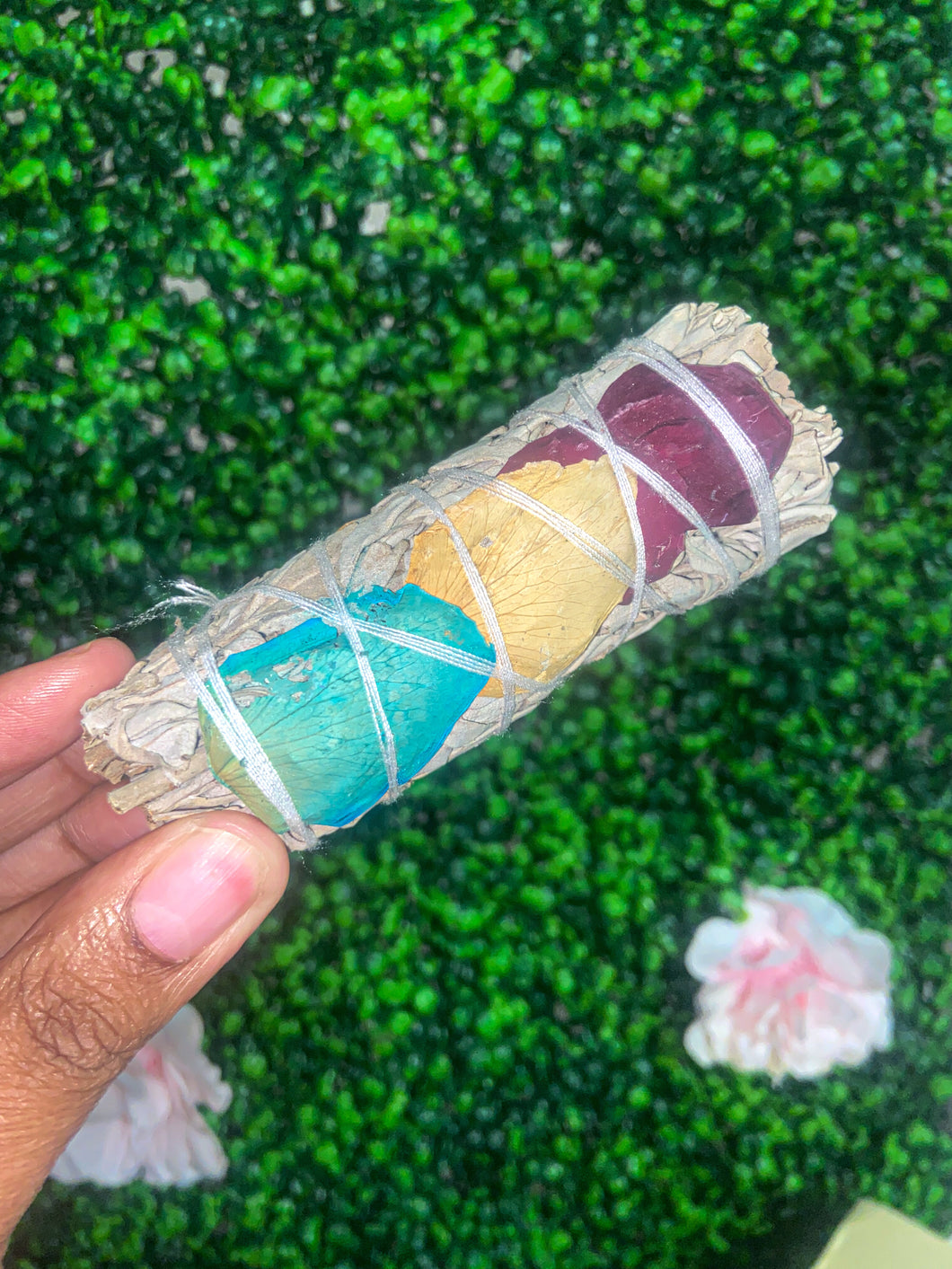 Yellow, Blue, Red Rose Sage