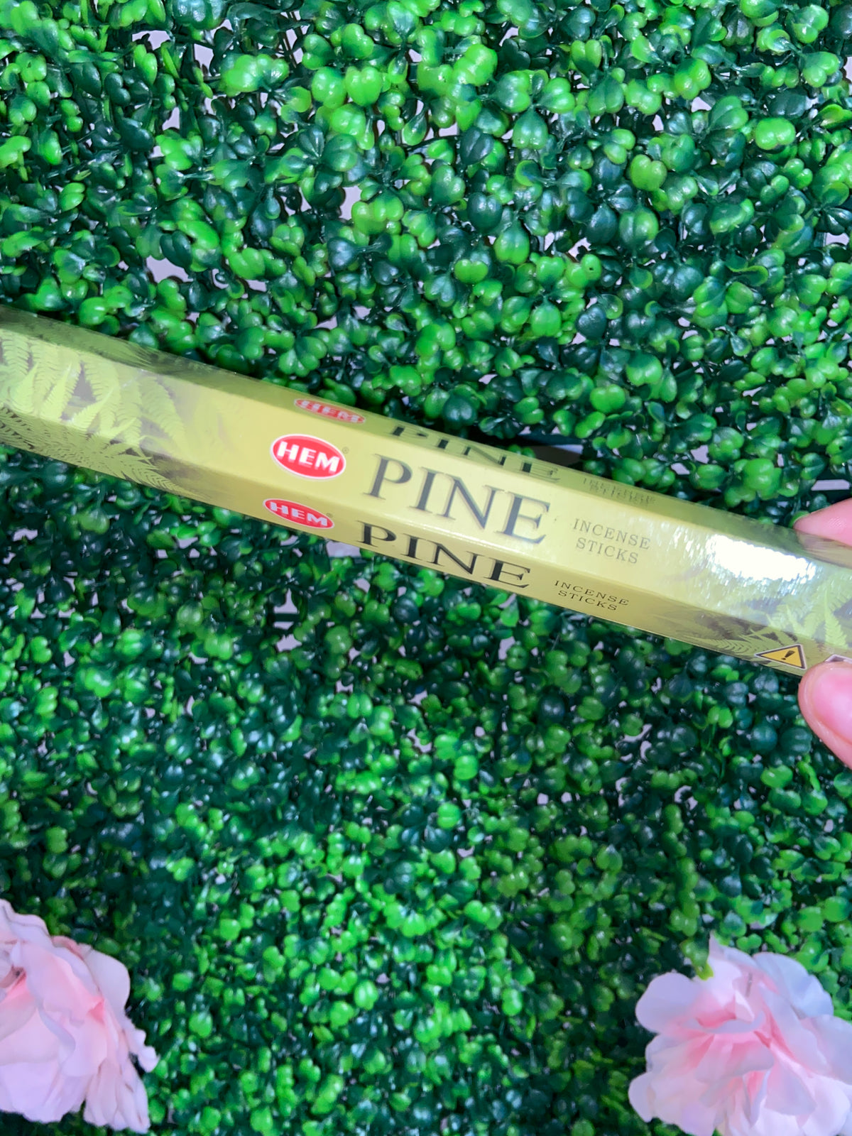 Pine
